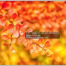 정미경 행정사 사무소 이미지