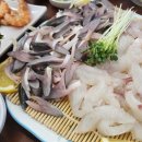 여수막회 이미지