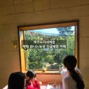 국가산단서로 | 제주 만들기 체험 탐나는농장 감귤체험 카페 후기, 제주 쿠킹 클래스 제주 체험카페로 아이들 만족도 최고