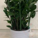 옥이텃밭 이미지