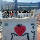 100일 기념 여수 여행 후기!