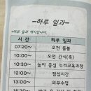 강남새싹유치원 이미지