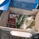 노은동로(노은농수산시장) | [대전 노은동] 신선한 해산물 찾는다면 노은수산물시장 맛집 13호 만복수산이 정답!