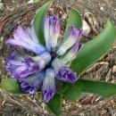 행당중학교 이미지