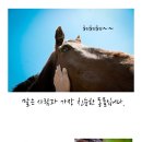 연천승마공원 이미지