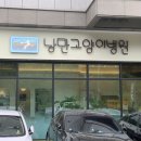 낭만고양이병원 이미지