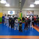 백호용인대합기도 이미지