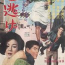 히트 앤드 런 , 히키니게 ひき逃げ (1966) 이미지