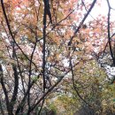 세석산장