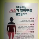 체온UP다이어트 이미지