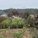 초입농장 이미지