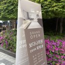 다나피부과의원 | 김해피부과 김나영 리프팅 볼뉴머 600샷 찐후기!! 효과, 통증 등등