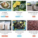 친환경나눔텃밭 | 어글리어스 다음으로 찾은 진짜 착한 농산물 브랜드, 푸르메소셜팜과 언니네텃밭