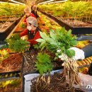 호천농장 이미지