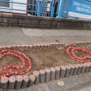 칠십리로 이미지