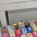 버들아쿠아 | 퇴근하고 레진키캡 만들기 원데이클래스 다녀왔어요 (취미부자 프로젝트 시작)