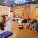 식선생 | 청주신점 ✅ 일자선생 후기 실제 경험담 솔직 정리