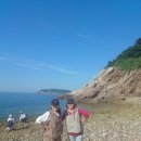 가의도 Daum카페