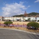 창평초교 유치원 이미지