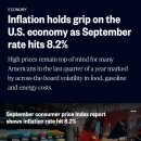 미국 9월 소비자 물가지수 8.2 % 상승 이미지
