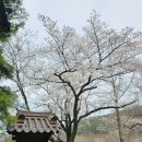 참살이 한옥체험 단나헌