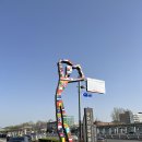 다문화음식거리 이미지