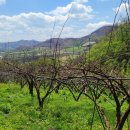 낙원농장3 이미지