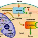 이루다 동물병원 이미지