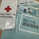 수영지사 | 적십자 서울지사 생존수영강사 후기