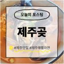 6531 | 제주 카더가든 맛집 정방폭포 해물라변 제주곶 후기 (26.3.12)