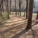 강남다가치번역행정사사무소 이미지