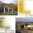 솔마을펜션 이미지