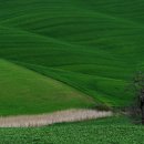 초원빌딩 이미지