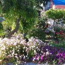 골드하우스 펜션 이미지