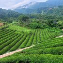 지리산휴가관광펜션 이미지