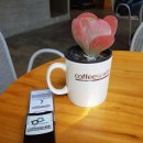 커피스미스 구미역점 이미지