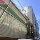 진성투토펠리체 네이버블로그