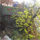 덕양주유소 이미지