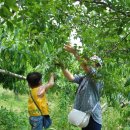 송제농원 이미지