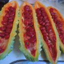 여주-0051 이미지