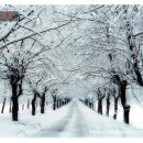 청주가로수길 이미지