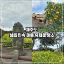 제주 성읍마을 한봉일 고택 | [제주도 한달 살기]제주도3월 가볼만한 곳 성읍 민속 마을 유채꽃 명소 무료 관광지