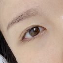 평촌 속눈썹펌 유지력 좋은 아냥뷰티 블랙틴팅펌 후기