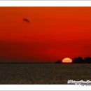 용유해변 이미지