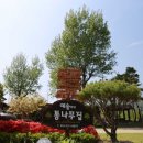 예솔이네통나무집 네이버블로그