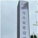소문난숯불생갈비