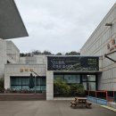 광주문화예술회관 | 광주문화예술회관: 탄소중립, 이끼로 말하다 방문 후기