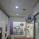 민화자격증2급 취득 후기/한국문화센터 강북지부