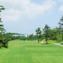 테디벨리 이미지