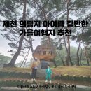 꿈마네